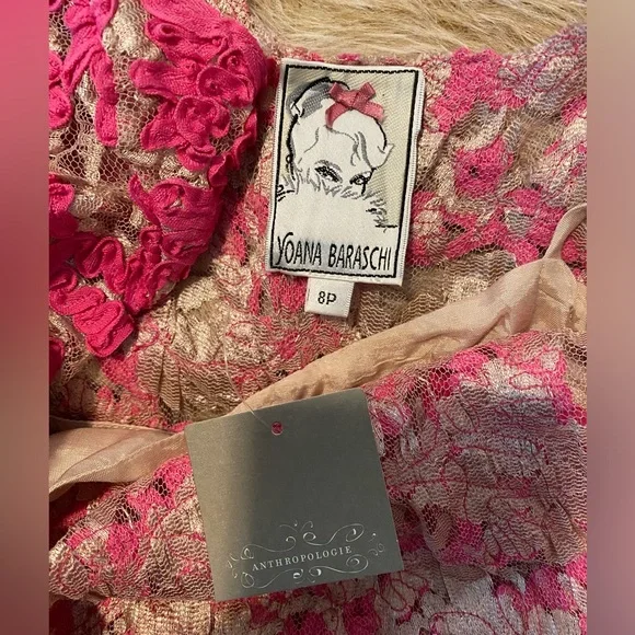 NWT Yoana Baraschi Anthropologie Pink Lace Mini Dress Champagne Liner Size  8P - www.jkreigsman.com